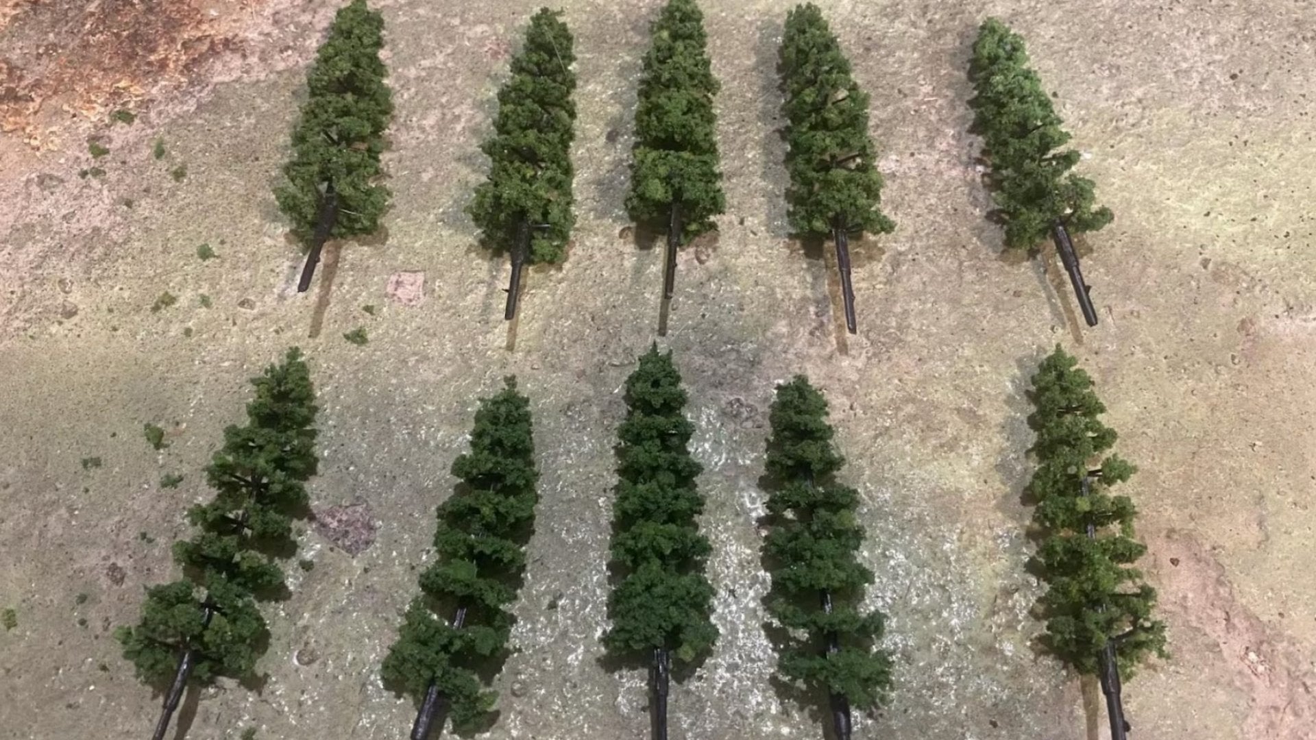 miniature pine trees
