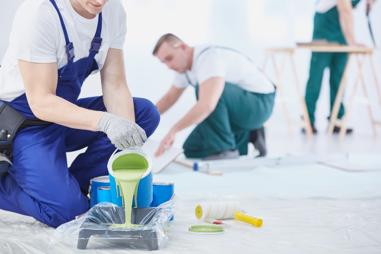 Safe Painting – Tips for Pet Owners