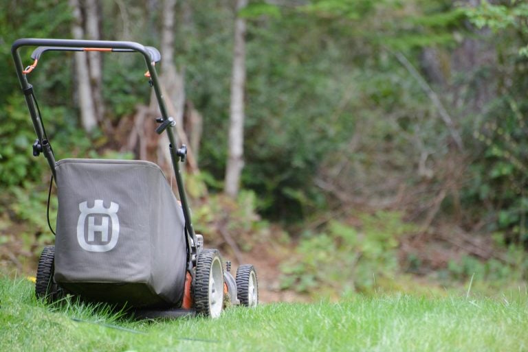 Why You Need a Robot Lawn Mower: Top 10 Reasons!