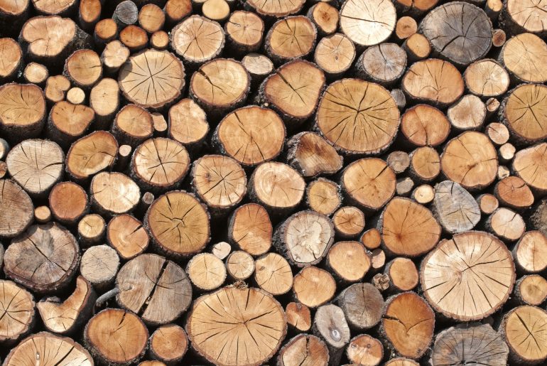 What you need to consider before buying kiln dried logs