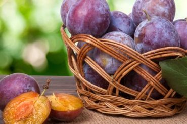 What is the Sweetest Plum Variety?