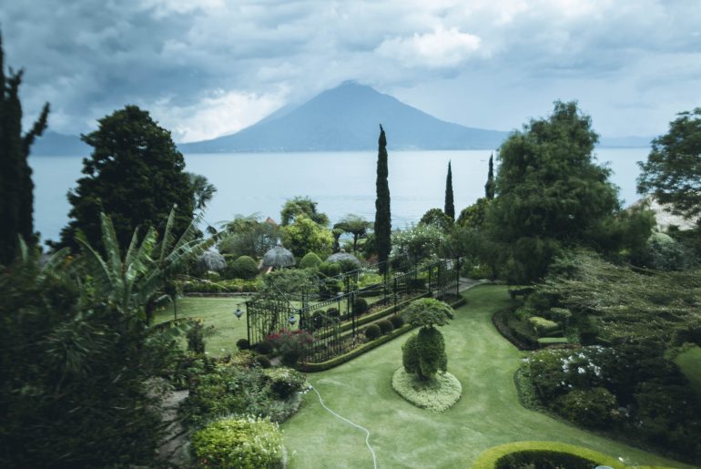 Green garden with plants and trees, viewing the sea and mountain