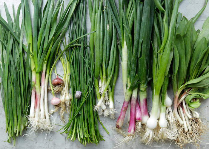 spring onion