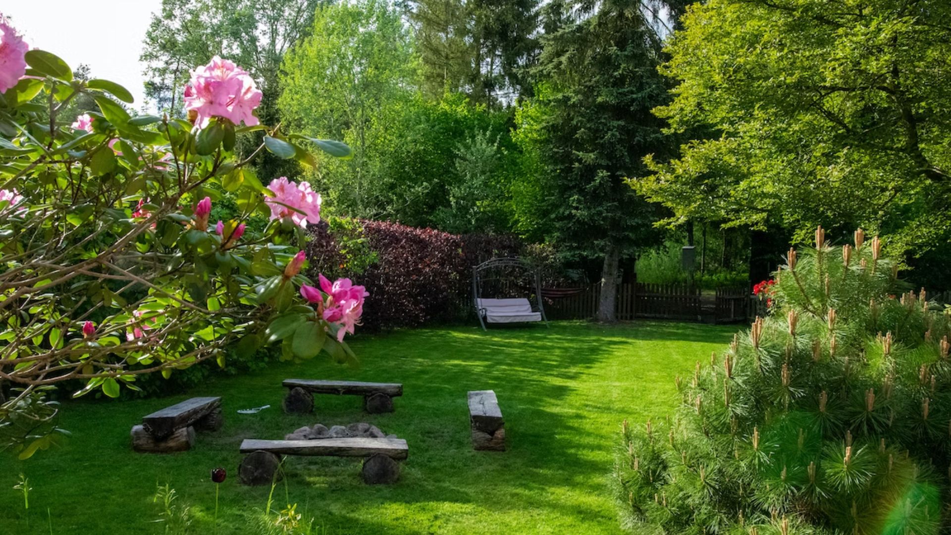 Gardening Costs Explained: How to Plan Your Backyard Garden