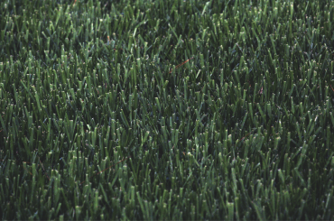 The Comprehensive Guide to Artificial Turf Installation