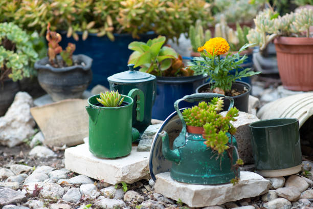 5 Creative Ways to Reuse Old Pots and Planters